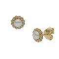 Pendientes Oro 18k Perlas Chinas 5.50mm